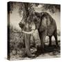 Awesome South Africa Collection Square - African Elephant Sepia-Philippe Hugonnard-Stretched Canvas