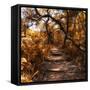Awesome South Africa Collection Square - African Jungle II-Philippe Hugonnard-Framed Stretched Canvas