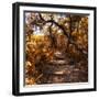 Awesome South Africa Collection Square - African Jungle II-Philippe Hugonnard-Framed Photographic Print