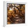 Awesome South Africa Collection Square - African Jungle II-Philippe Hugonnard-Framed Photographic Print