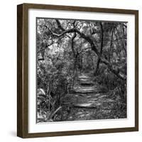 Awesome South Africa Collection Square - African Jungle III-Philippe Hugonnard-Framed Photographic Print