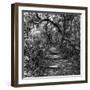 Awesome South Africa Collection Square - African Jungle III-Philippe Hugonnard-Framed Photographic Print