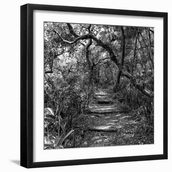 Awesome South Africa Collection Square - African Jungle III-Philippe Hugonnard-Framed Photographic Print