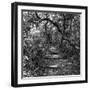 Awesome South Africa Collection Square - African Jungle III-Philippe Hugonnard-Framed Photographic Print