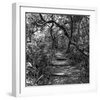 Awesome South Africa Collection Square - African Jungle III-Philippe Hugonnard-Framed Photographic Print