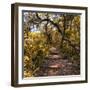 Awesome South Africa Collection Square - African Jungle IV-Philippe Hugonnard-Framed Photographic Print