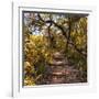 Awesome South Africa Collection Square - African Jungle IV-Philippe Hugonnard-Framed Photographic Print