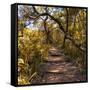 Awesome South Africa Collection Square - African Jungle IV-Philippe Hugonnard-Framed Stretched Canvas
