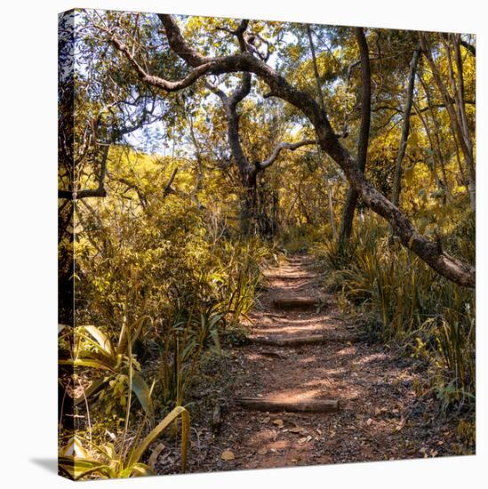 Awesome South Africa Collection Square - African Jungle IV-Philippe Hugonnard-Stretched Canvas