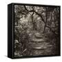 Awesome South Africa Collection Square - African Jungle V-Philippe Hugonnard-Framed Stretched Canvas