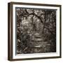 Awesome South Africa Collection Square - African Jungle V-Philippe Hugonnard-Framed Photographic Print