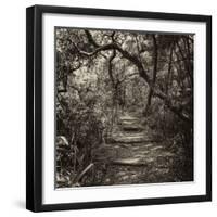 Awesome South Africa Collection Square - African Jungle V-Philippe Hugonnard-Framed Photographic Print