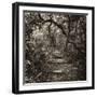 Awesome South Africa Collection Square - African Jungle V-Philippe Hugonnard-Framed Photographic Print