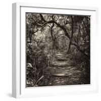 Awesome South Africa Collection Square - African Jungle V-Philippe Hugonnard-Framed Photographic Print