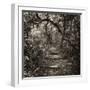 Awesome South Africa Collection Square - African Jungle V-Philippe Hugonnard-Framed Photographic Print