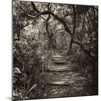 Awesome South Africa Collection Square - African Jungle V-Philippe Hugonnard-Mounted Photographic Print