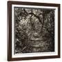 Awesome South Africa Collection Square - African Jungle V-Philippe Hugonnard-Framed Photographic Print