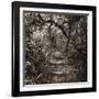 Awesome South Africa Collection Square - African Jungle V-Philippe Hugonnard-Framed Photographic Print