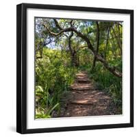 Awesome South Africa Collection Square - African Jungle-Philippe Hugonnard-Framed Photographic Print