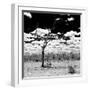 Awesome South Africa Collection Square - African Landscape B&W-Philippe Hugonnard-Framed Photographic Print