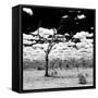 Awesome South Africa Collection Square - African Landscape B&W-Philippe Hugonnard-Framed Stretched Canvas