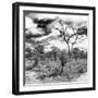 Awesome South Africa Collection Square - African Landscape III B&W-Philippe Hugonnard-Framed Photographic Print