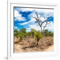 Awesome South Africa Collection Square - African Landscape III-Philippe Hugonnard-Framed Photographic Print