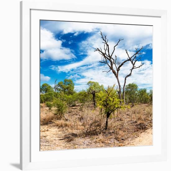 Awesome South Africa Collection Square - African Landscape III-Philippe Hugonnard-Framed Photographic Print