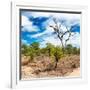 Awesome South Africa Collection Square - African Landscape III-Philippe Hugonnard-Framed Photographic Print