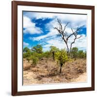 Awesome South Africa Collection Square - African Landscape III-Philippe Hugonnard-Framed Photographic Print