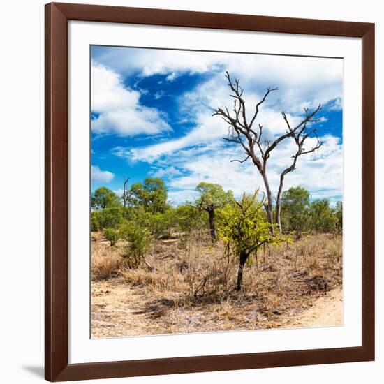 Awesome South Africa Collection Square - African Landscape III-Philippe Hugonnard-Framed Photographic Print