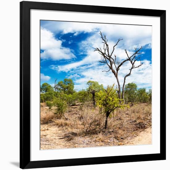 Awesome South Africa Collection Square - African Landscape III-Philippe Hugonnard-Framed Photographic Print