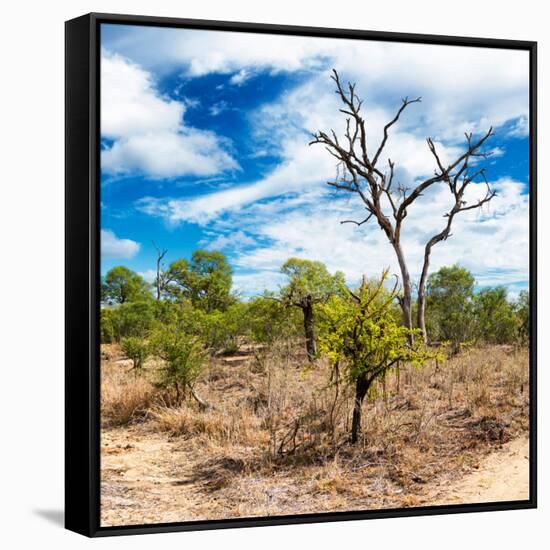 Awesome South Africa Collection Square - African Landscape III-Philippe Hugonnard-Framed Stretched Canvas