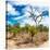 Awesome South Africa Collection Square - African Landscape III-Philippe Hugonnard-Stretched Canvas