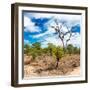 Awesome South Africa Collection Square - African Landscape III-Philippe Hugonnard-Framed Photographic Print