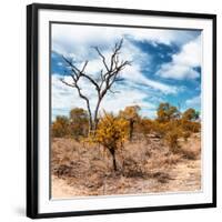 Awesome South Africa Collection Square - African Landscape in Fall Colors III-Philippe Hugonnard-Framed Photographic Print