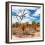 Awesome South Africa Collection Square - African Landscape in Fall Colors III-Philippe Hugonnard-Framed Photographic Print