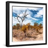 Awesome South Africa Collection Square - African Landscape in Fall Colors III-Philippe Hugonnard-Framed Photographic Print