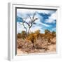 Awesome South Africa Collection Square - African Landscape in Fall Colors III-Philippe Hugonnard-Framed Photographic Print