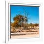 Awesome South Africa Collection Square - African Landscape in Fall Colors IV-Philippe Hugonnard-Framed Photographic Print