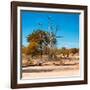 Awesome South Africa Collection Square - African Landscape in Fall Colors IV-Philippe Hugonnard-Framed Photographic Print