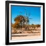 Awesome South Africa Collection Square - African Landscape in Fall Colors IV-Philippe Hugonnard-Framed Photographic Print