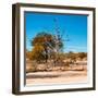 Awesome South Africa Collection Square - African Landscape in Fall Colors IV-Philippe Hugonnard-Framed Photographic Print