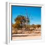 Awesome South Africa Collection Square - African Landscape in Fall Colors IV-Philippe Hugonnard-Framed Photographic Print