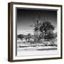 Awesome South Africa Collection Square - African Landscape IV B&W-Philippe Hugonnard-Framed Photographic Print
