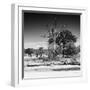 Awesome South Africa Collection Square - African Landscape IV B&W-Philippe Hugonnard-Framed Photographic Print