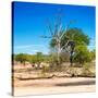 Awesome South Africa Collection Square - African Landscape IV-Philippe Hugonnard-Stretched Canvas