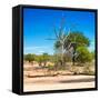 Awesome South Africa Collection Square - African Landscape IV-Philippe Hugonnard-Framed Stretched Canvas