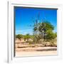 Awesome South Africa Collection Square - African Landscape IV-Philippe Hugonnard-Framed Photographic Print