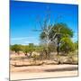 Awesome South Africa Collection Square - African Landscape IV-Philippe Hugonnard-Mounted Photographic Print